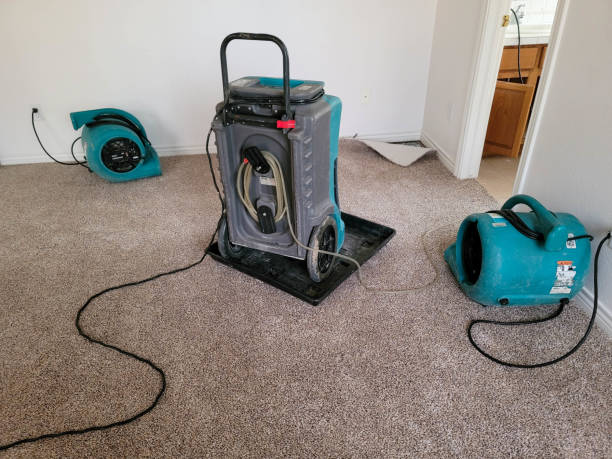 Trusted Sea Breeze, NC Water damage restoration Experts