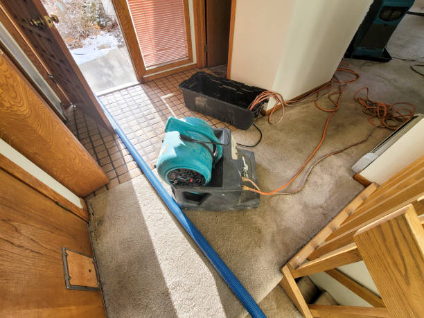 Best Flooded house restoration  in Sea Breeze, NC