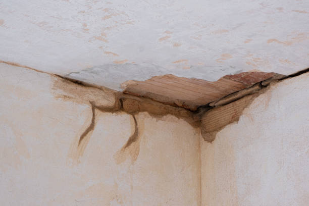 Best Flooded house restoration  in Sea Breeze, NC