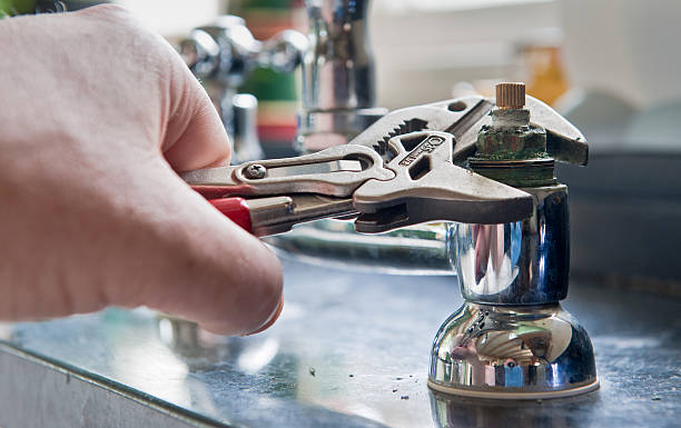 Best Professional water damage repair  in Sea Breeze, NC