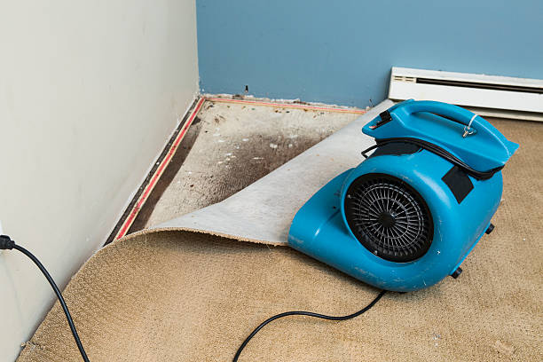Best Water damage mitigation services  in Sea Breeze, NC